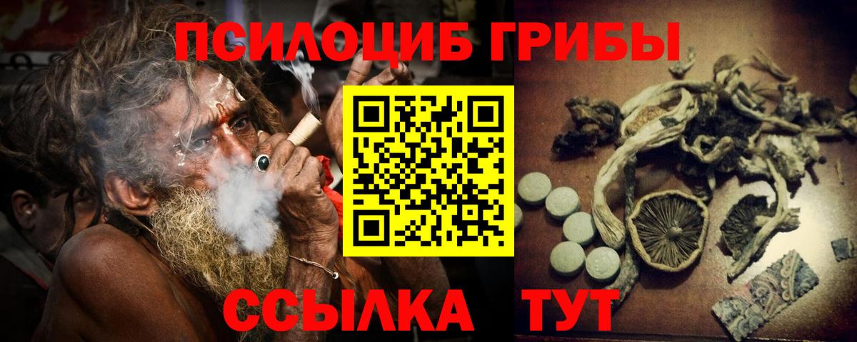 Звенигород  Галлюциногенные грибы мухоморы  Вход с VPN 